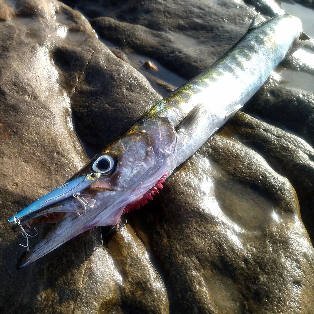 GOBAIT VIB Fishing Lure 20g 25 - Fishing Hook Treble ulasan dan harga